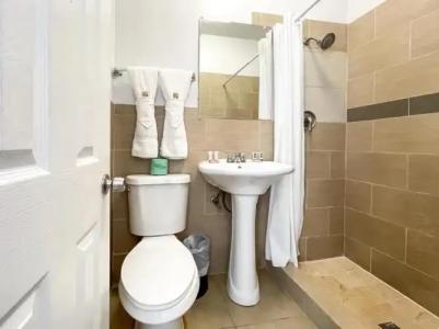 Hollywood Beach Seagull - 82