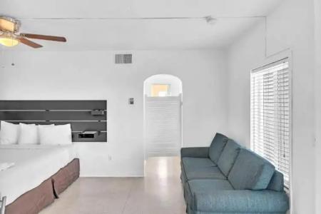 Hollywood Beach Seagull - 149