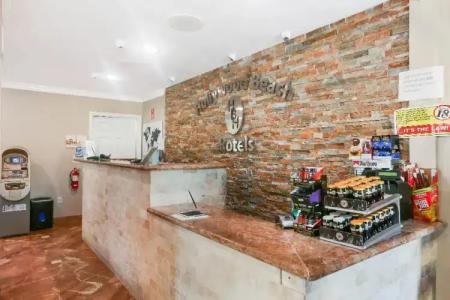 Hollywood Beach Seagull - 27