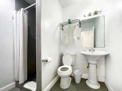 Hollywood Beach Seagull - 36