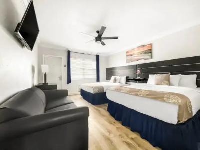 Hollywood Beach Seagull - 115