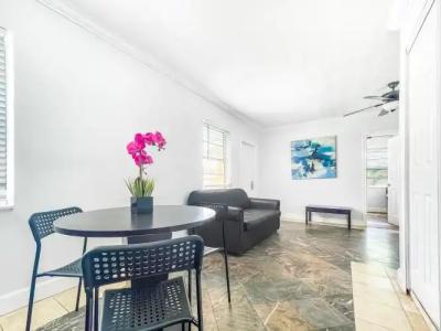 Hollywood Beach Seagull - 10