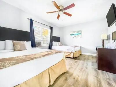 Hollywood Beach Seagull - 180