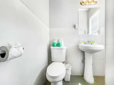 Hollywood Beach Seagull - 193