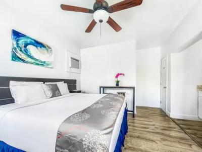 Hollywood Beach Seagull - 190