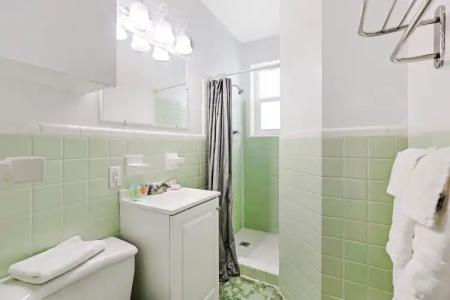 Hollywood Beach Seagull - 8