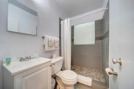 Hollywood Beach Seagull - 121