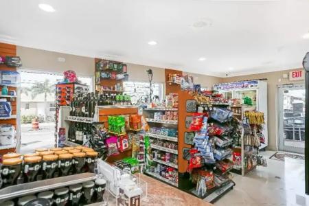 Hollywood Beach Seagull - 9