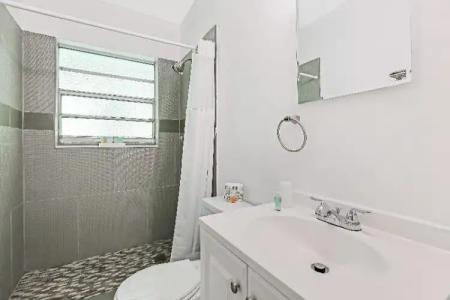 Hollywood Beach Seagull - 43