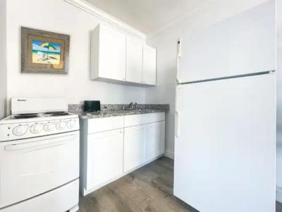 Hollywood Beach Seagull - 194