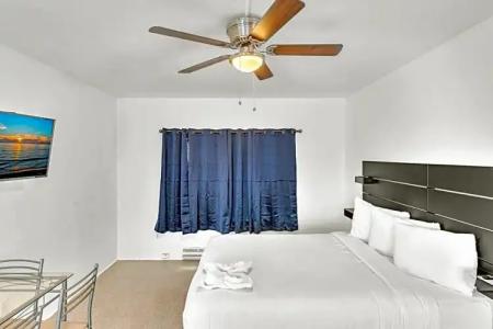 Hollywood Beach Seagull - 41