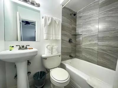 Hollywood Beach Seagull - 91