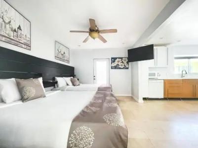 Hollywood Beach Seagull - 103