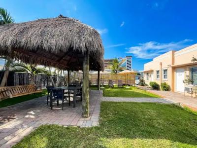 Hollywood Beach Seagull - 19