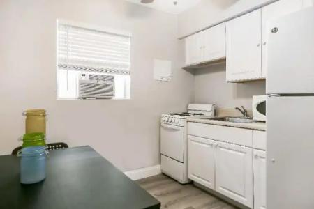 Hollywood Beach Seagull - 45