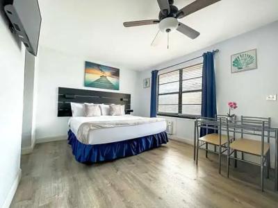 Hollywood Beach Seagull - 35