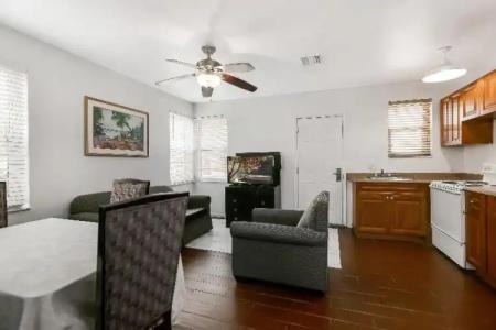 Hollywood Beach Seagull - 48