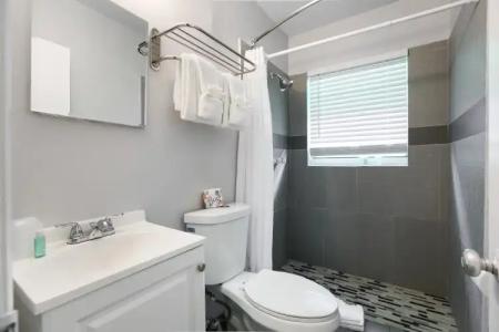 Hollywood Beach Seagull - 7