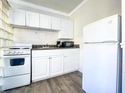 Hollywood Beach Seagull - 114