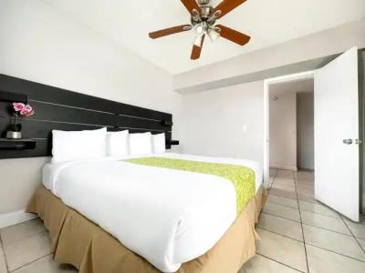 Hollywood Beach Seagull - 96