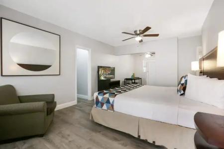 Hollywood Beach Seagull - 3