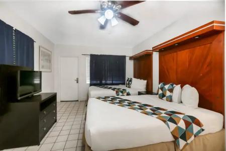 Hollywood Beach Seagull - 1