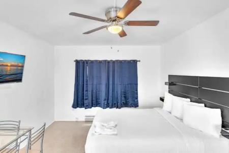 Hollywood Beach Seagull - 60