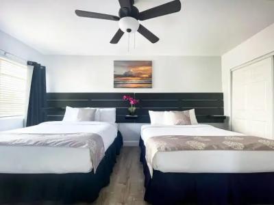 Hollywood Beach Seagull - 133