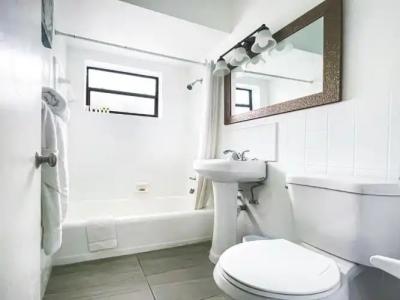 Hollywood Beach Seagull - 99