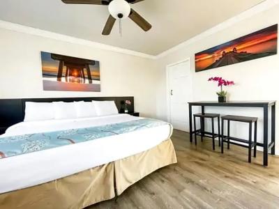 Hollywood Beach Seagull - 31