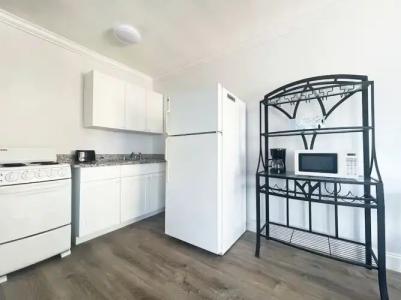 Hollywood Beach Seagull - 120