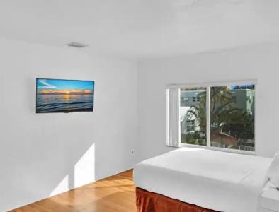 Hollywood Beach Seagull - 147