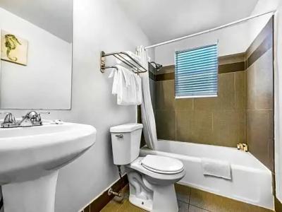 Hollywood Beach Seagull - 166