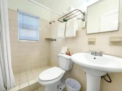 Hollywood Beach Seagull - 78