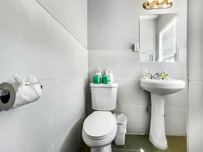 Hollywood Beach Seagull - 157