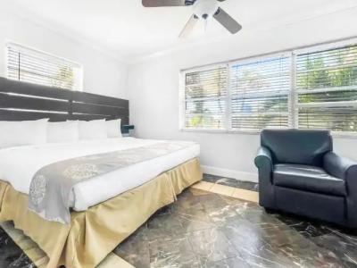 Hollywood Beach Seagull - 172