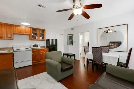 Hollywood Beach Seagull - 22