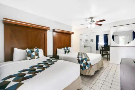 Hollywood Beach Seagull - 4