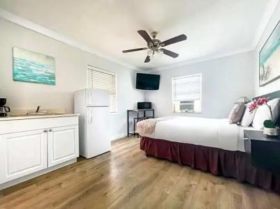 Hollywood Beach Seagull - 87