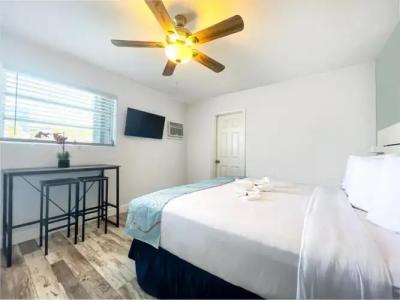 Hollywood Beach Seagull - 189