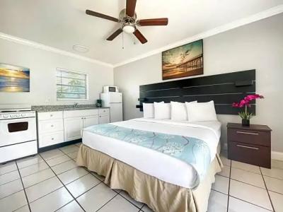 Hollywood Beach Seagull - 32