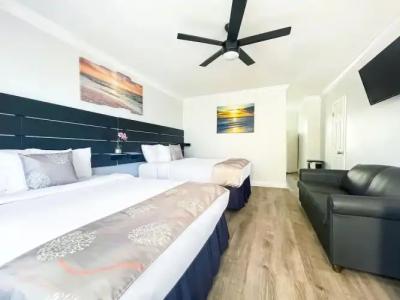 Hollywood Beach Seagull - 116