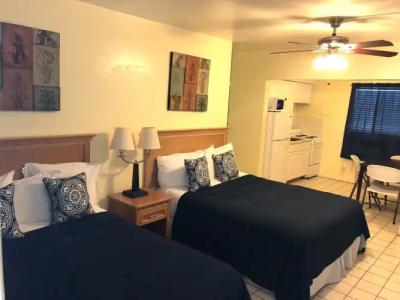 Hollywood Beach Seagull - 93