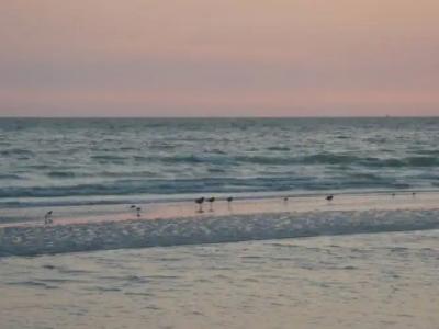 Pink Shell Beach Resort and Marina - 13