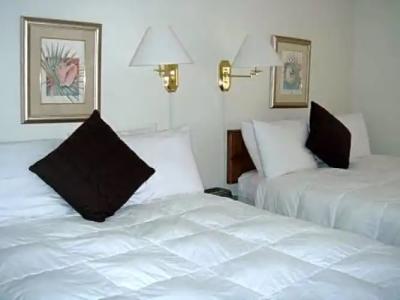 Pink Shell Beach Resort and Marina - 34