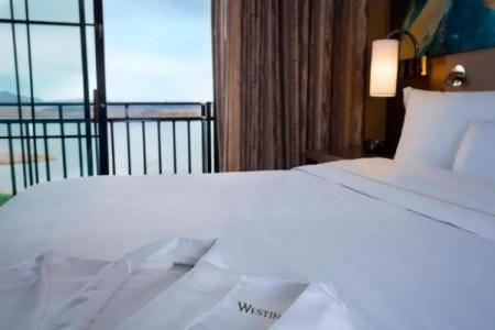 The Westin Lake Las Vegas Resort & Spa - 59