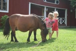 Valkeisen Loma, Ahtari