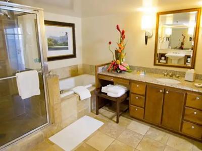 Hilton Vacation Club Ka'Anapali Beach Maui - 8