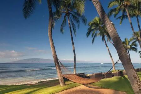 Hyatt Regency Maui Resort & Spa - 24