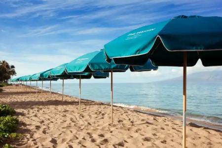 The Westin Maui Resort & Spa, Ka'anapali - 21